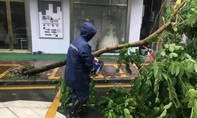 沙瑯鎮(zhèn)：打好防風(fēng)防汛“主動戰(zhàn)”，“小網(wǎng)格”實現(xiàn)“大守護(hù)”
